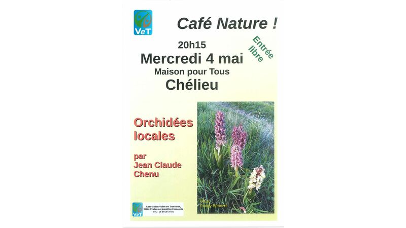 Café Nature ! Orchidées locales