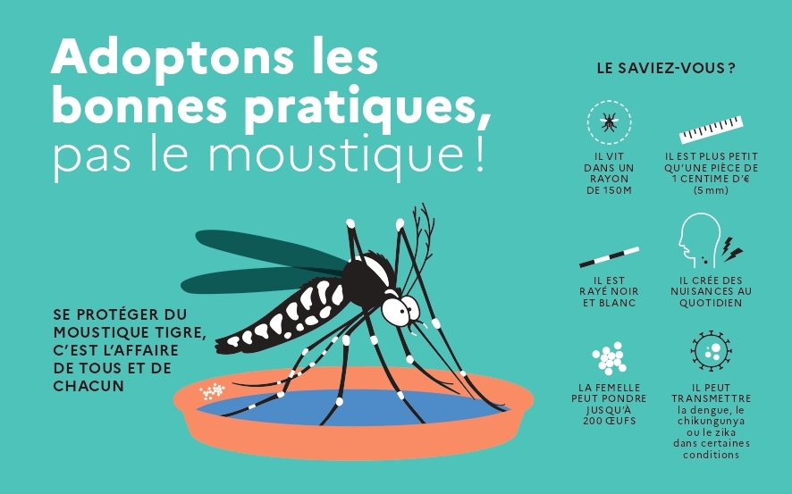 Adoptons les bonnes pratiques, pas le moustique !