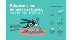 Adoptons les bonnes pratiques, pas le moustique !