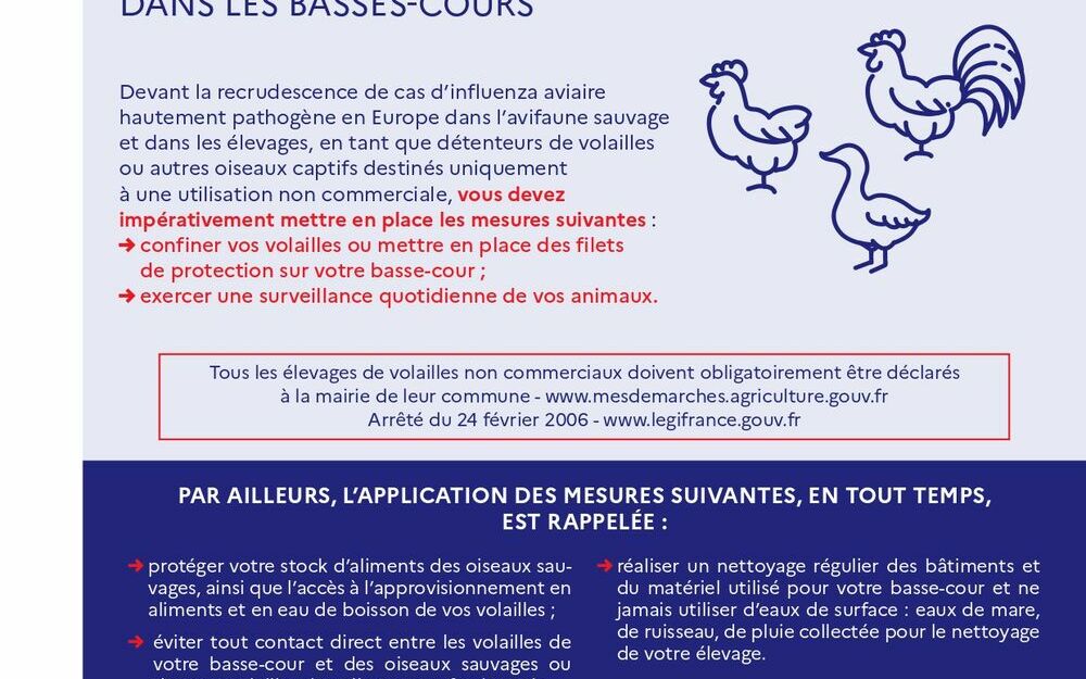 Renforcement des mesures de biosécurité pour lutter contre L'INFLUENZA AVIAIRE dans les basses-cours